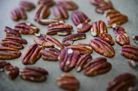 Isolated pecan nuts displayed in a close-up arrangement emphasize their natural texture and colors, perfect for concepts of nutrition, health, and wholesome food ingredients.の写真素材