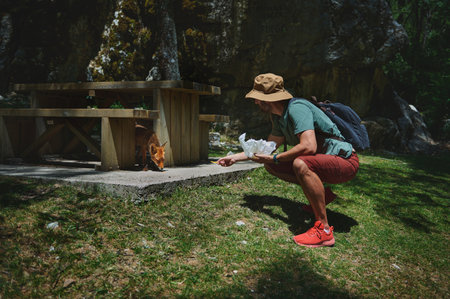 An individual interacts with wildlife, feeding a fox in a scenic wooded area near a picnic table....