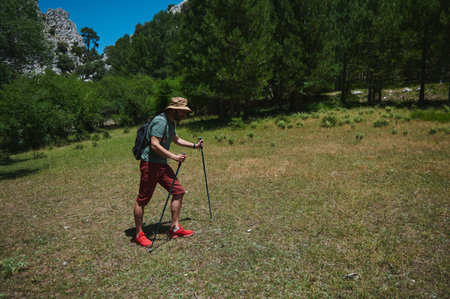 A young man wearing a hat and carrying hiking poles walks through a verdant forest on a sunny day, enjoying outdoor activities and natural exploration.の写真素材