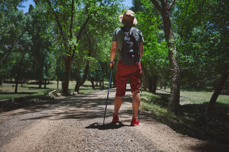 A man equipped with hiking gear explores a serene forest path surrounded by lush greenery, symbolizing adventure and a connection with nature.の写真素材