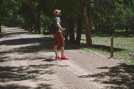 A traveler with a backpack, trekking poles on a tree-lined path under sunlight. Reflects outdoor exploration, adventure, enjoying nature and hiking in peaceful surroundings.の写真素材