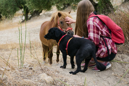 A serene moment of a hiker with a backpack petting a horse, accompanied by a dog, between natural...