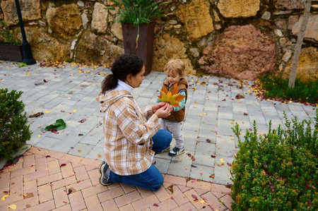 A mother kneels on a brick path as her young toddler smiles and holds a large autumn leaf. They share a tender moment outdoors amid fall leaves and a stone backdrop.の写真素材