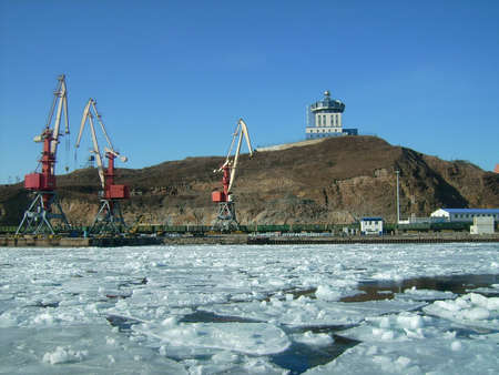 Spring is commingの写真素材