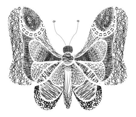 butterflyのイラスト素材