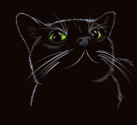 Vector sketch. Black cute kitty on a black background.のイラスト素材
