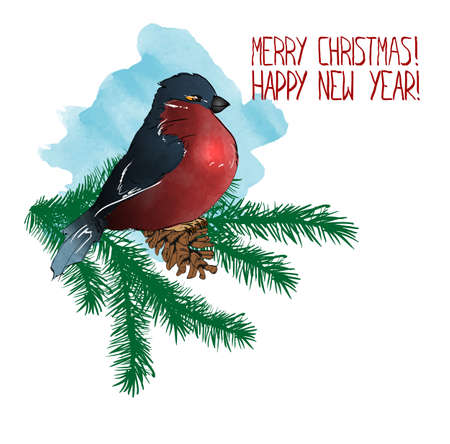 illustration in watercolor style. Bullfinch on a spruce branch with a cone. Merry Christmas and happy new year. Greeting card.のイラスト素材
