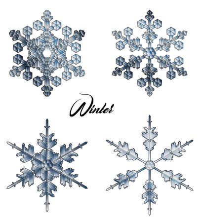 Snowflake vector icon background set. Winter christmas snow flake crystal element. Decorative snowflakes.のイラスト素材