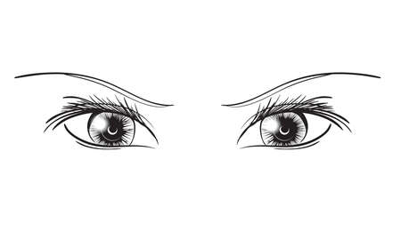 Hand-drawn woman's sexy luxurious eye with perfectly shaped eyebrows and full lashes. Idea for business visit card, typography vector. Perfect salon look.のイラスト素材