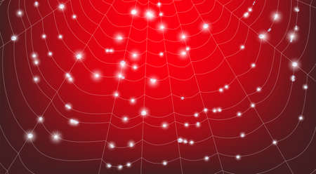 Vector drawing of a spider web. Spider web. Cobweb with water drops.のイラスト素材