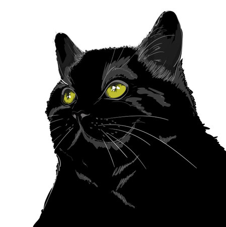 Sketch of a cat's head. Fluffy cute cat hand drawn vector illustration. Black cat with green eyesのイラスト素材