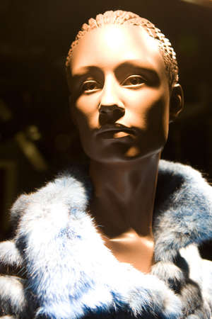 Manequin wearing furの写真素材