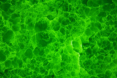 Swirly green patternsの写真素材