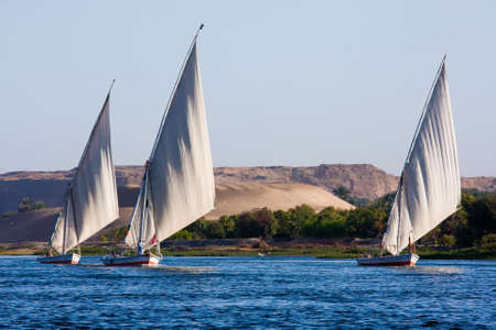 Feluccas sailing on the Nile, Egyptの写真素材