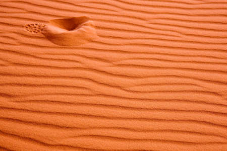 Solitary footprint in a sand duneの写真素材