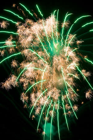 Brightly coloured fireworks against a black night sky