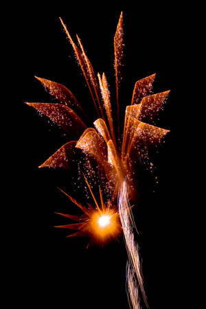 Brightly coloured fireworks against a black night sky