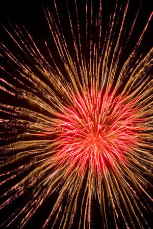 Brightly coloured fireworks against a black night skyの写真素材