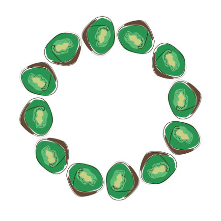 Delicious kiwi, collected in a composition in a circle on a white background. Round frame of exotic and garden fruits. Healthy natural nutrition concept. Vector greeting card for your designのイラスト素材