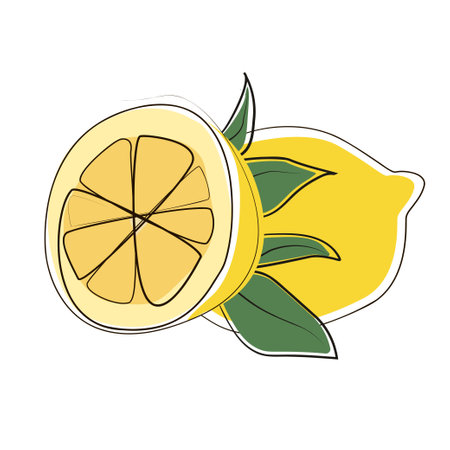 Fresh lemons isolated on yellow background. Vegetarian concept. Vector illustration. Flat style. Vector greeting card for your designのイラスト素材