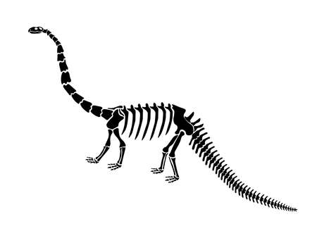 Vector illustration with dinosaur skeleton isolated on a white background.のイラスト素材