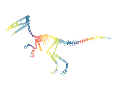 Vector illustration with rainbow dinosaur skeleton isolated on a white background.のイラスト素材