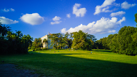 A lawn in the park of Capodimonte in Naplesの写真素材
