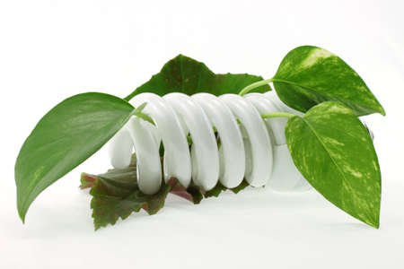 energy-saving lamp with green leaves on white background close up