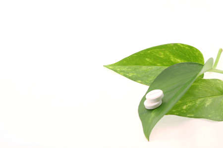 two tablets with green leaves on white background close upの写真素材