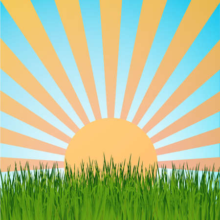 Grass background ,sun rays vector,blue sky illustrationのイラスト素材