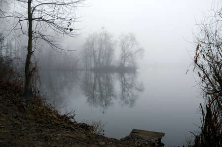 Mist on a lake at dawn, trees reflected in a lake in a cold misty day.の写真素材