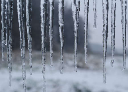 icicles on white,winter background