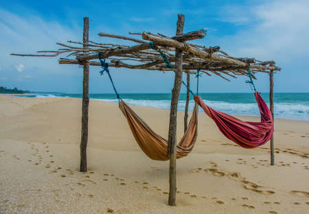 Tropical paradise beautiful sandy beach and sea.Tropical beach in Sri Lanka.
Sand waves blue sky and palm trees.
Concept for holidays,resort design.の写真素材