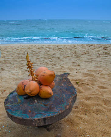 Tropical paradise ,coconuts on the beach,beautiful sandy beach and sea.の写真素材