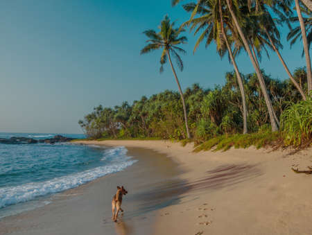 Tropical beach in Sri Lanka.Concept for holidays,resort design.の写真素材