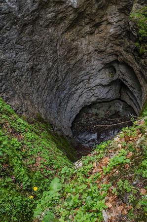 Landscape with a river.Waterfall in Galbenei gorge, Apuseni national park, Romania.River cascade in...