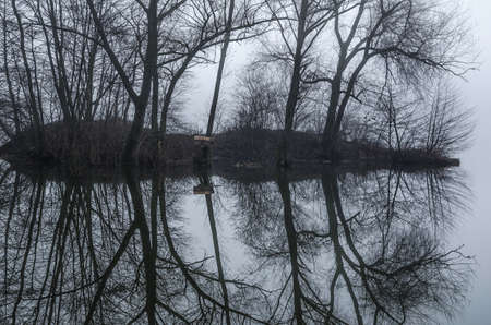 Reflection of trees from the water. Foggy sunrise. Autumn landscape on the lake.Tranquil landscape...