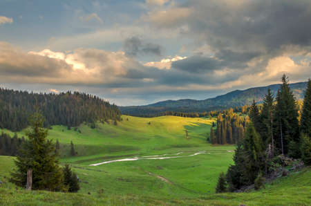 Lan dscape with forests.Nature in Europe.Sunset scenic.Green meadows.Apuseni Mountains in Romania.Natural background.の写真素材