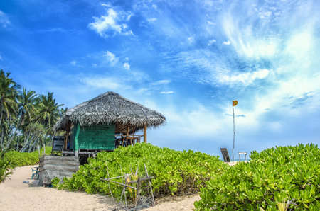 Beach and tropical sea.Paradise idyllic beach Sri Lanka.Beautiful Sri Lanka landscape.Exotic...