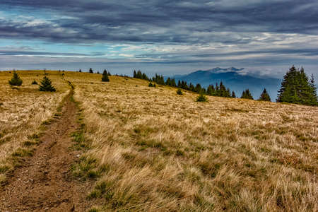 Mountain forest landscape under evening sky with clouds