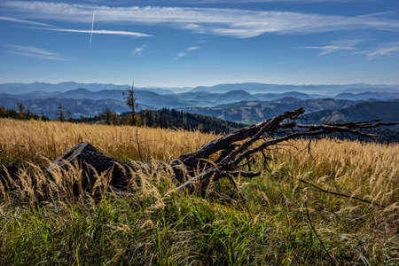 Countryside with meadows and forestsの写真素材