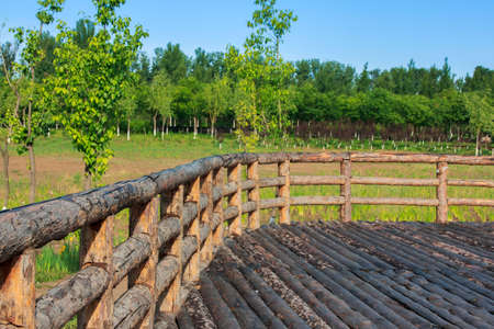 Zhongguancun Parkの写真素材