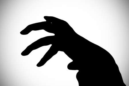 Talonsの写真素材