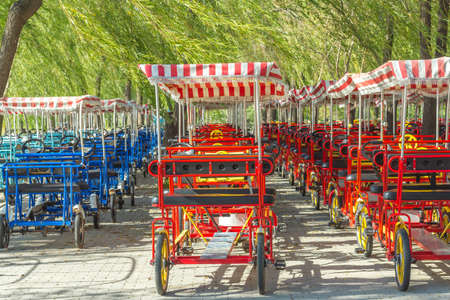 Renting bikes in the parkの写真素材