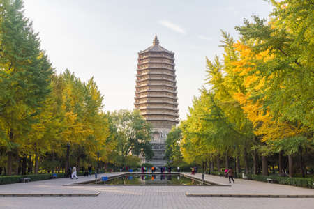 Beijing Pagoda of Cishou Temple