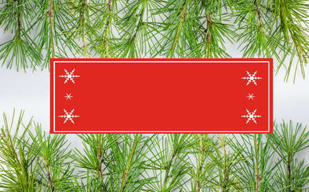 Background material for Christmasの写真素材