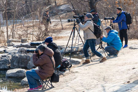 Photographers in the parkのeditorial素材