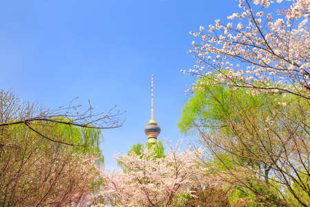 Beijing Yuyuantan Park spring sceneryのeditorial素材