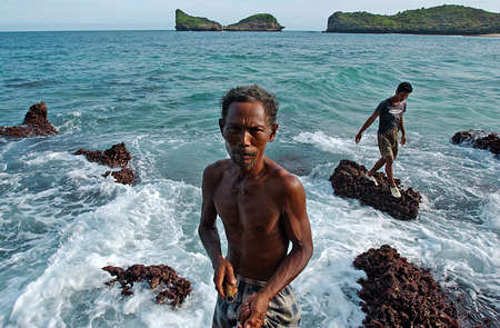 A fisherman with nets to catch lobsters around the coast Srau beach, Region Pacitan, East Java, Indonesia on May 8th, 2004. Photo taken on: May 08th, 2004.のeditorial素材