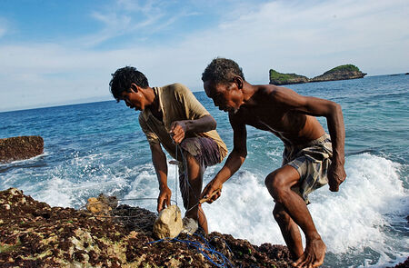 A fisherman with nets to catch lobsters around the coast Srau beach, Region Pacitan, East Java, Indonesia on May 8th, 2004. Photo taken on: May 08th, 2004.のeditorial素材